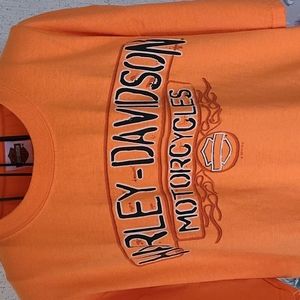 Mens Harley Davidson t-shirt